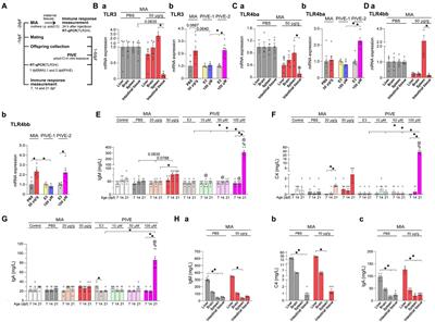 Poly(I:C)-exposed zebrafish shows autism-like behaviors which are ameliorated by fabp2 gene knockout